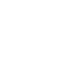 The Birth Place